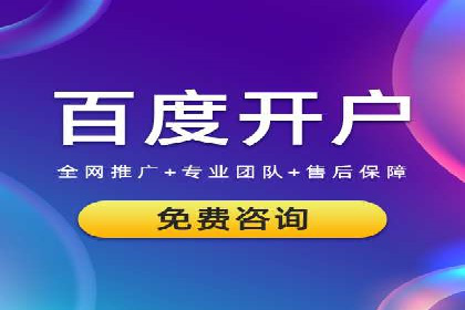 百度SEO推广策略深度解读：某企业网络营销的胜利之路